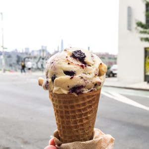 Best Ice Cream New York NYC