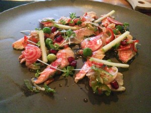 barbounia, snapper ceviche, mont-royal, turkish, montreal